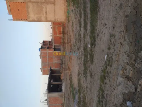 Vente Terrain Blida Boufarik