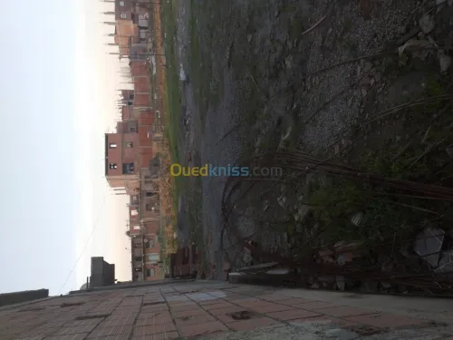 Vente Terrain Blida Boufarik