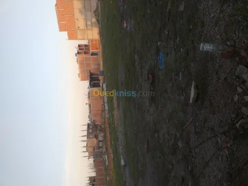 Vente Terrain Blida Boufarik