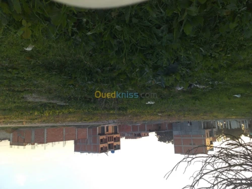Vente Terrain Blida Boufarik