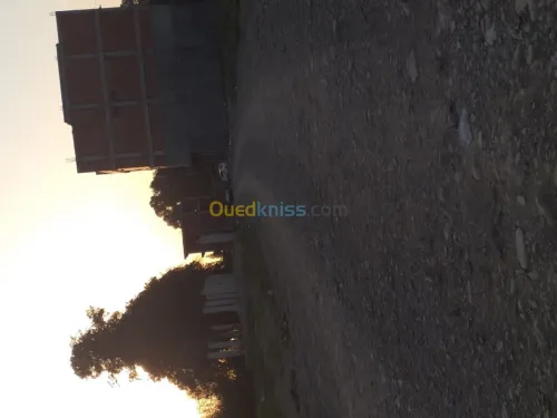 Vente Terrain Blida Boufarik