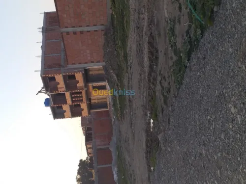 Vente Terrain Blida Boufarik