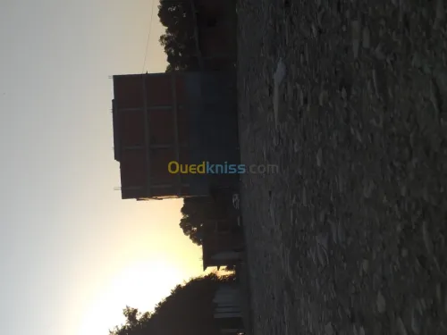 Vente Terrain Blida Boufarik
