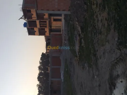 Vente Terrain Blida Boufarik