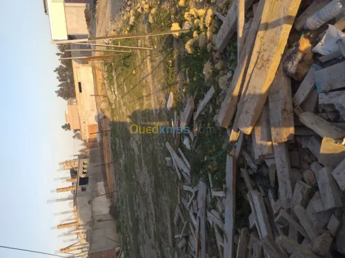 Vente Terrain Blida Boufarik