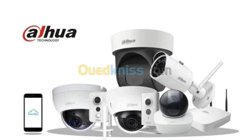 Vidéosurveillance à distance