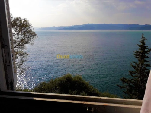 Location Appartement F3 Skikda Collo