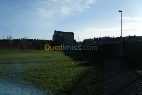 Vente Terrain Alger Cheraga