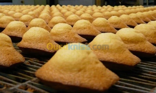 recette madeleine  