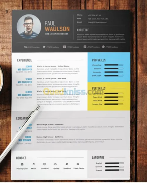 CV professionnel personnalise