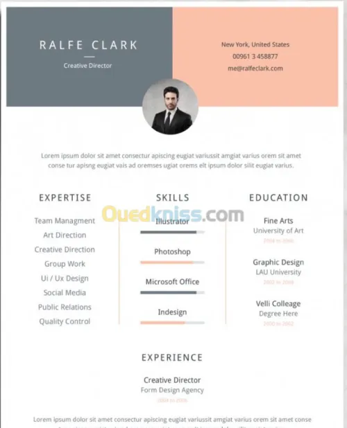 CV professionnel personnalise