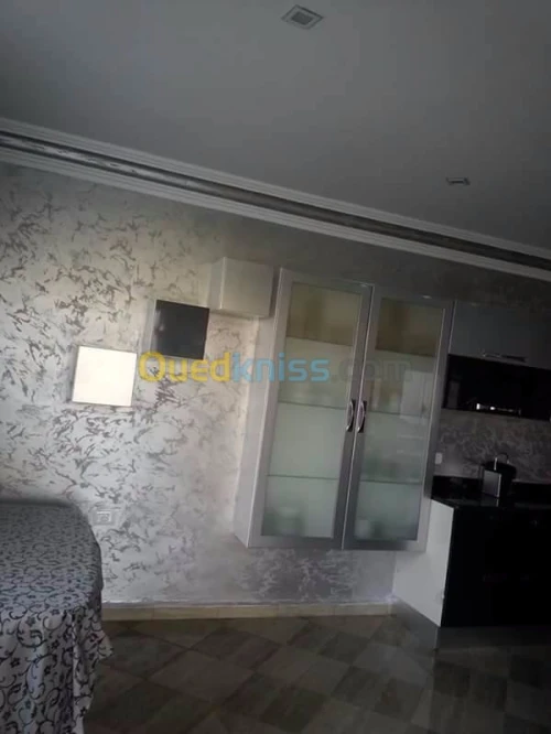  Peinture d'interieur/exterieure