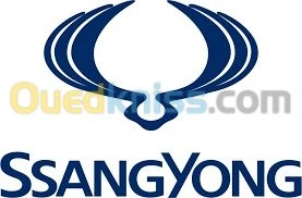 SSANGYONG - BIR TOUTA