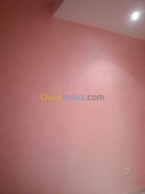 Peintre decoration interieur