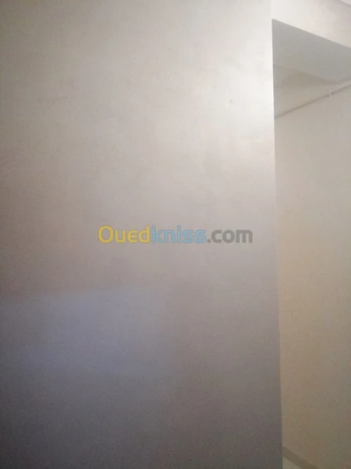 Peintre decoration interieur