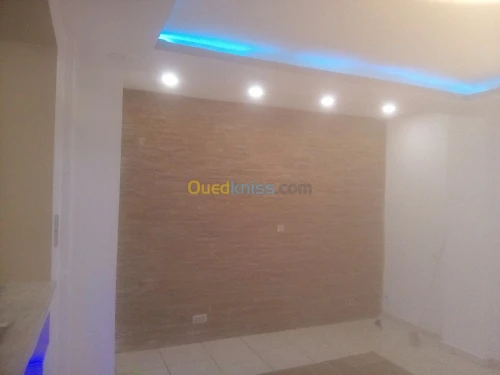 Placo plâtre et peintre bâtiment et PV