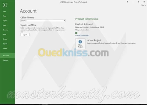  MS Project et Viso PRO 2016 2019,2021