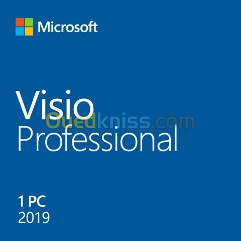  MS Project et Viso PRO 2016 2019,2021
