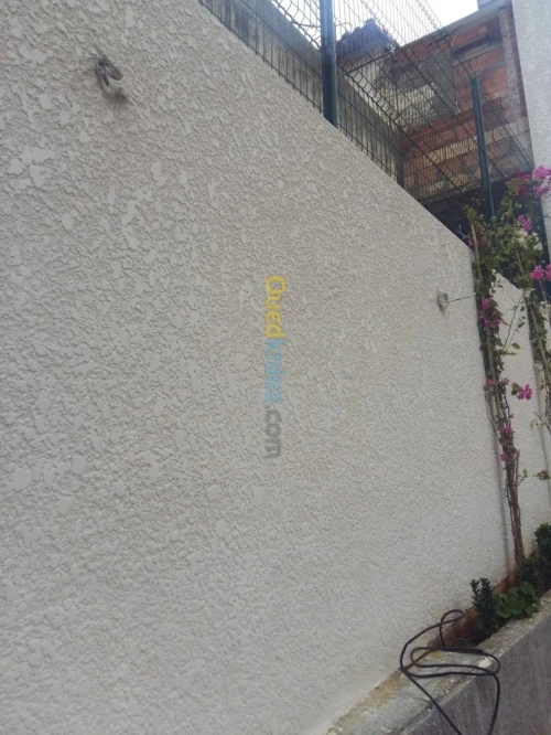 Monocouche