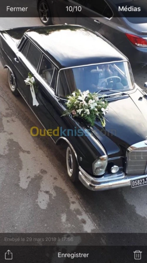 Location voiture Mercedes collection 