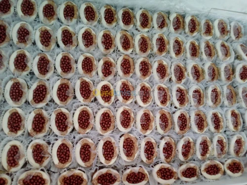 Gâteaux traditionnel 