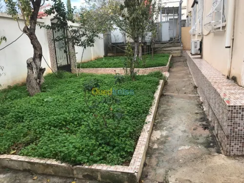 Location Villa Alger Hydra