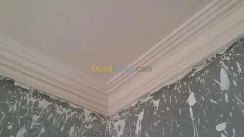 Décoration plâtre