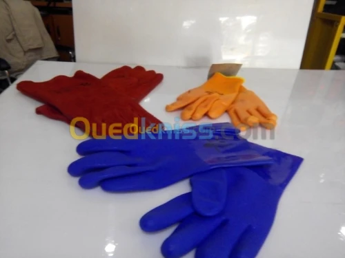 GANTS