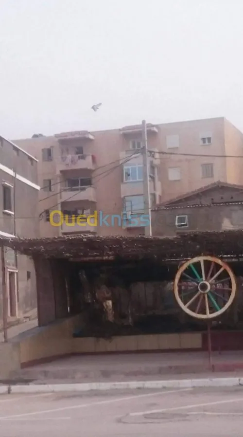 Location Appartement F4 Mostaganem Mostaganem