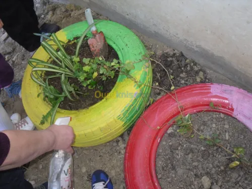 creche & préscolaire 