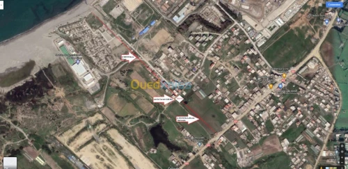 Vente Terrain Boumerdès Djinet