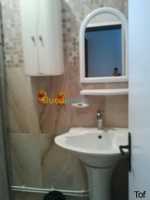 Location Appartement F3 Oran Oran