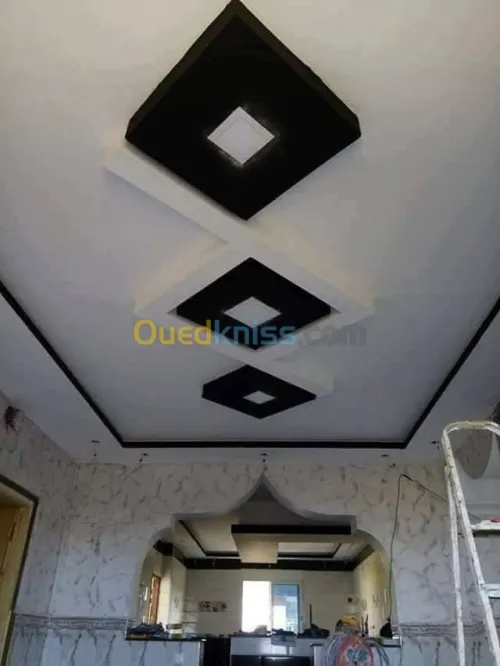 Travaux de decoration plâtre 