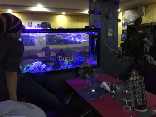 Aquarium