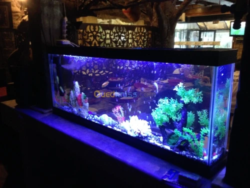 Aquarium