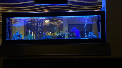 Aquarium 