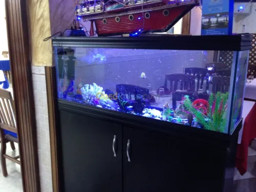 Aquarium 