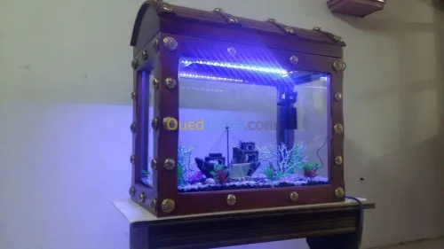 Aquarium 