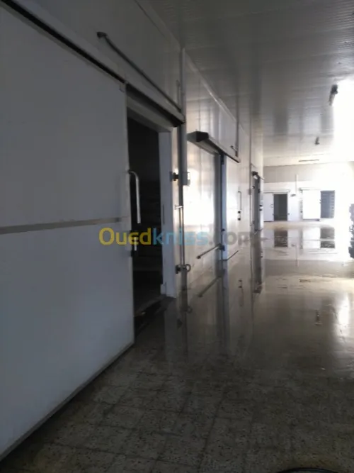 Chambre froide 250m3 positive