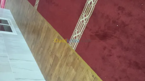 Seuils de port nez de marches