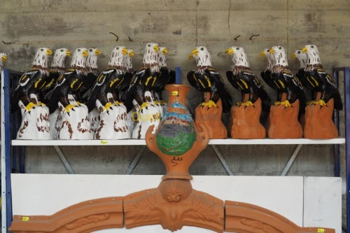 Aigles anti pigeon 