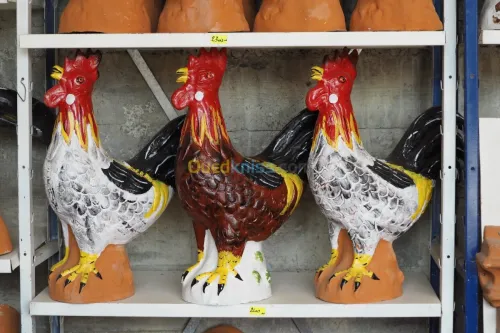Aigles anti pigeon 