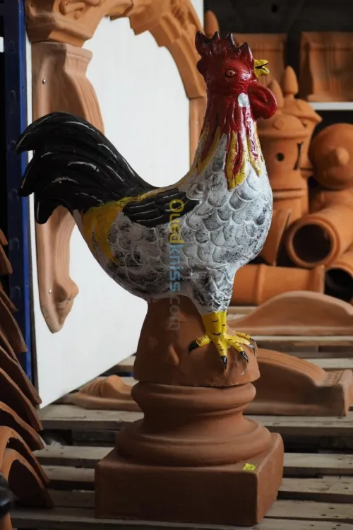 Aigles anti pigeon 