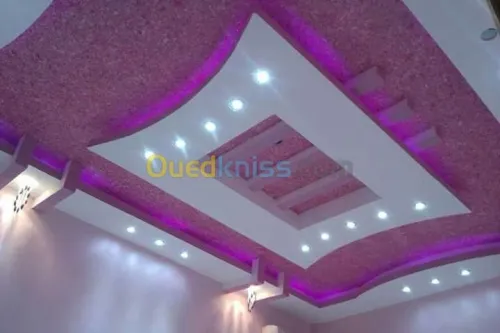 travaux placo
