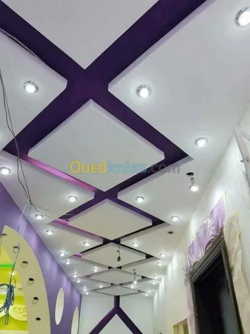 faux plafonds et plâtre