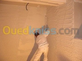 platre projete  et monocouche