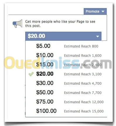 Sponsor DZ Facebbok Youtube instagram 