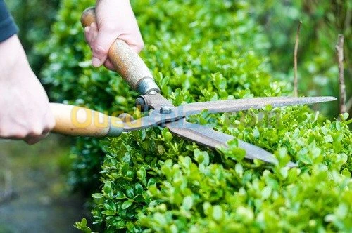 services de  jardinage professionnels