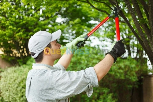 services de  jardinage professionnels