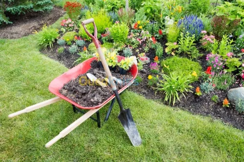 services de  jardinage professionnels